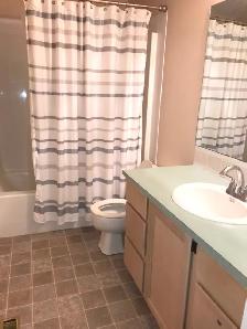 Sherwood Park Lakeside walkout basement suite - Photo 7