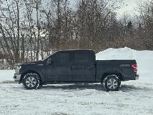 2019 Ford F-150 XLT- Rear Camera - 4x4 - Photo 6