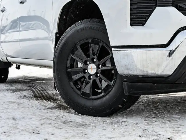 2025 Chevrolet Silverado 1500 LT 5.3L - Photo 6