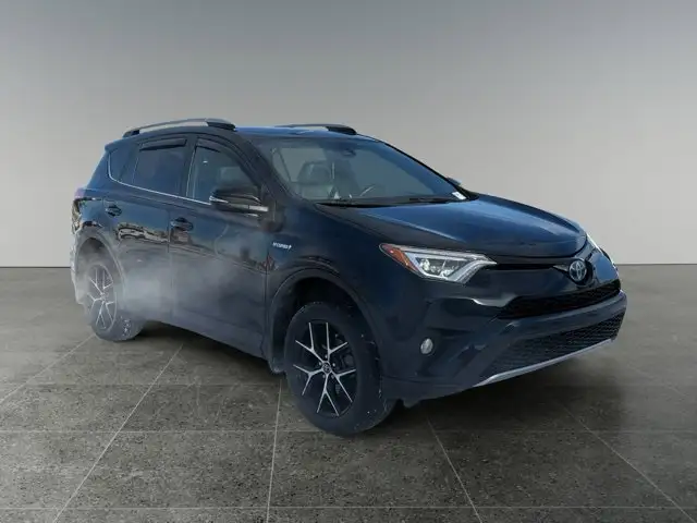 2018 Toyota RAV4 Hybrid SE - Photo 9