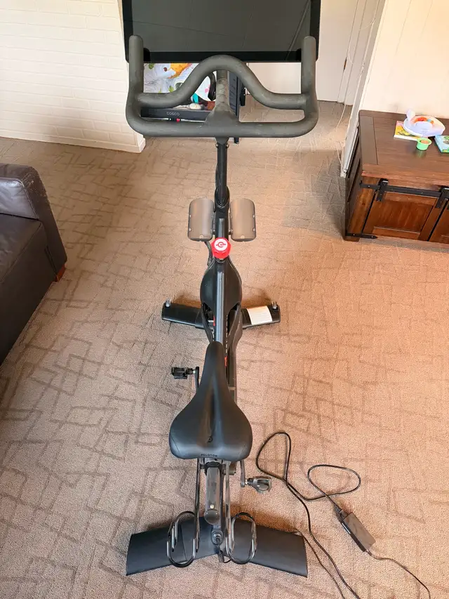 Complete Home Gym: Peloton, Rack, Bowflex 10-90, 420lb Plates - Photo 5
