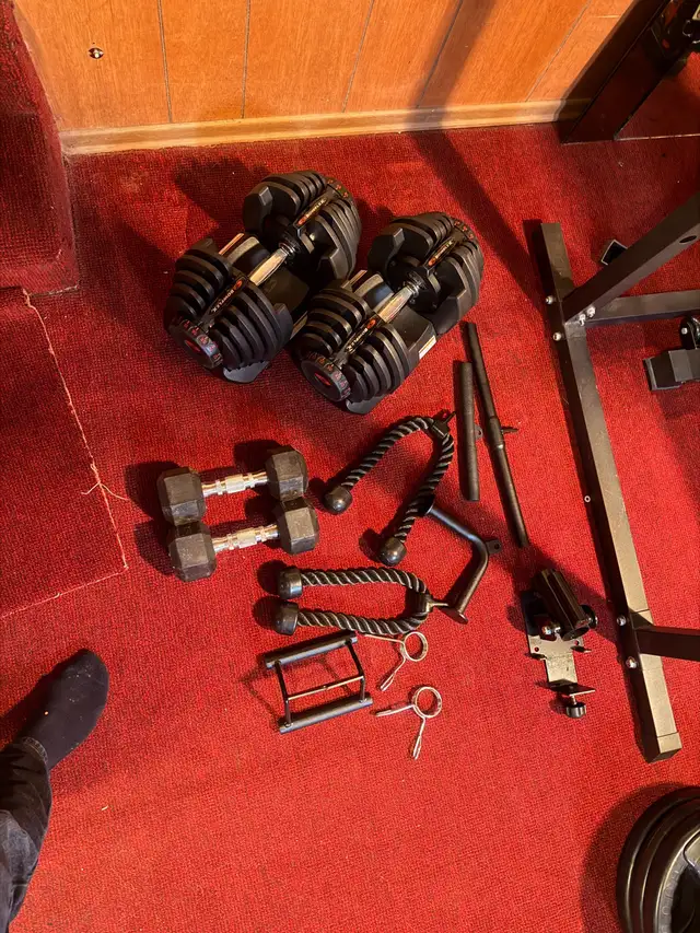 Complete Home Gym: Peloton, Rack, Bowflex 10-90, 420lb Plates - Photo 7