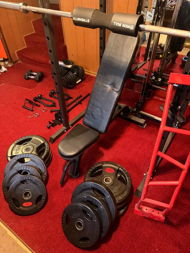 Complete Home Gym: Peloton, Rack, Bowflex 10-90, 420lb Plates - Photo 8