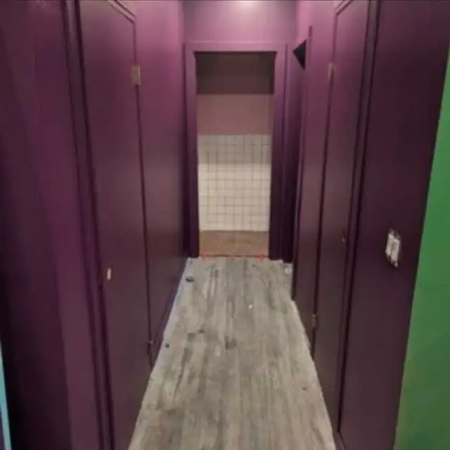 Professional Painters Available - Photo 8