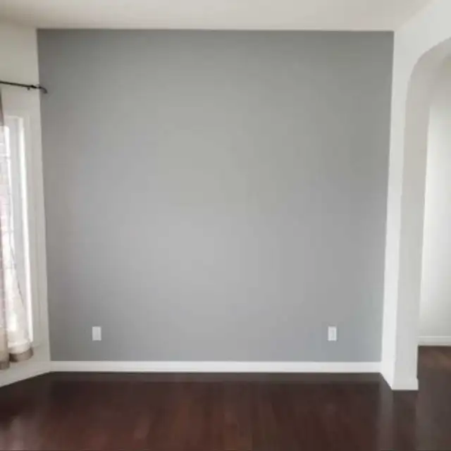 Professional Painters Available - Photo 10