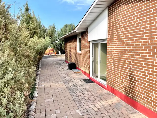 1 BR Basement Apartment in Etobicoke for Renr