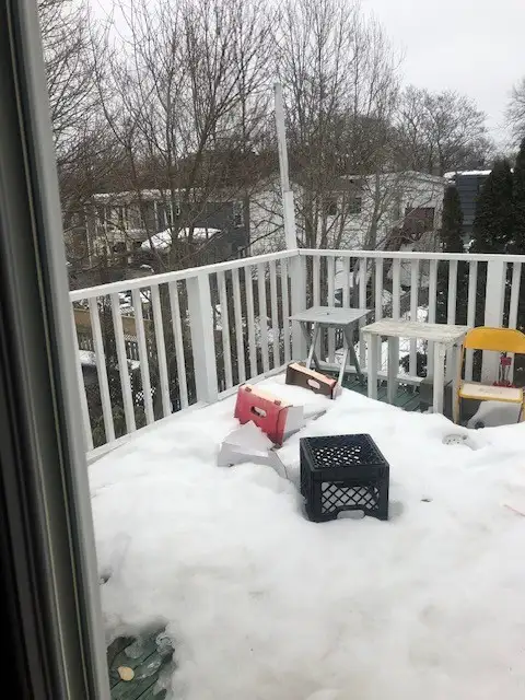 3 BEDROOM APT NEAR DAL AVAILABLE MAY !st - Photo 8