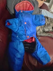 north face dog cost - Photo 4