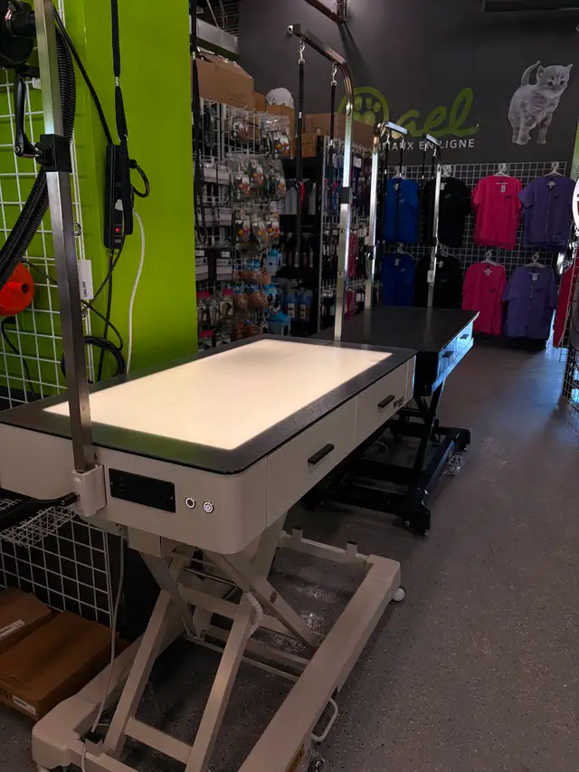 COURROIE DE TOILETTAGE, HARNAIS DE TOILETTAGE POUR CHIEN CHAT - Photo 9