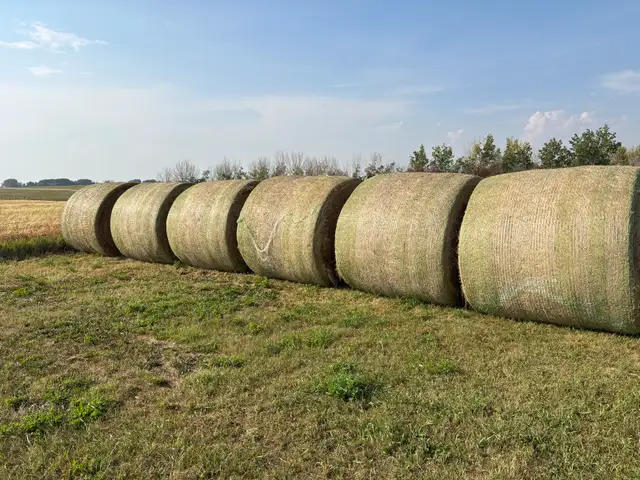 Hay for sale