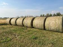 Hay for sale