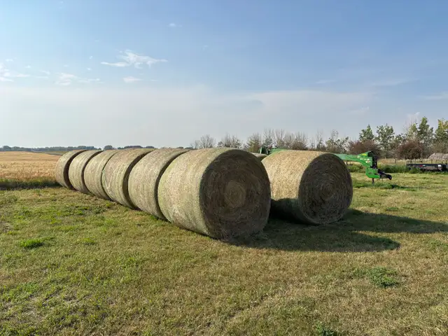 Hay for sale - Photo 2