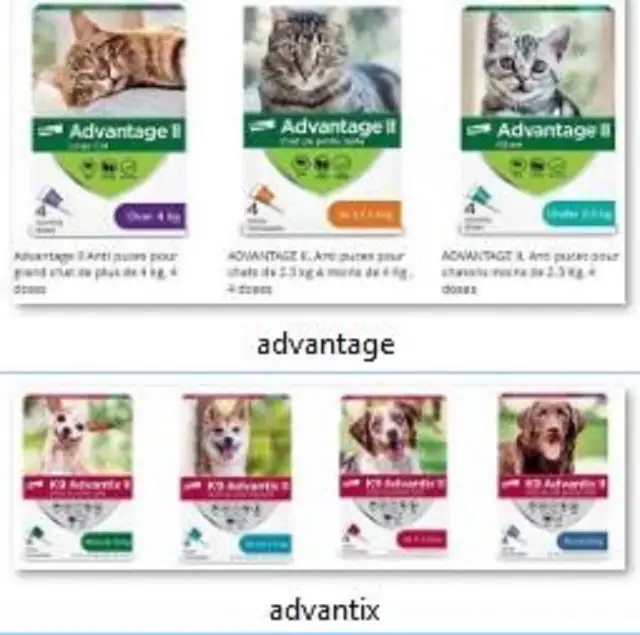 Advantage II pour chat et Advantix II pour chien, Anti puces