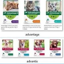 Advantage II pour chat et Advantix II pour chien, Anti puces