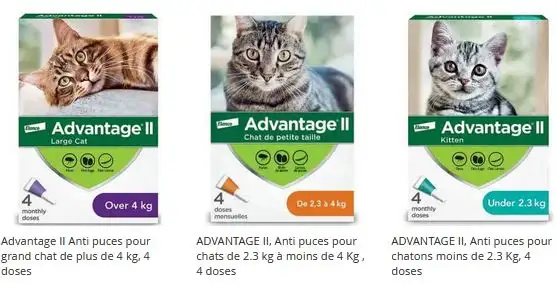 Advantage II pour chat et Advantix II pour chien, Anti puces - Photo 2