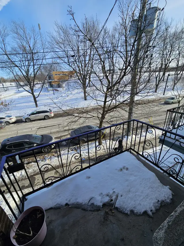 For Rent 3 1/2 apartment - 4 minute walk to College Rosemont - Photo 10