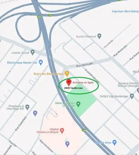 ANIMALERIE AEL (ANIMAUX EN LIGNE) - Photo 2