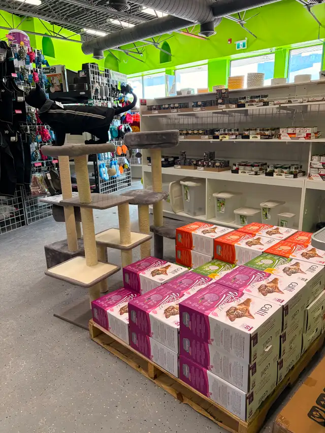 ANIMALERIE AEL (ANIMAUX EN LIGNE) - Photo 5