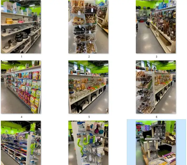 ANIMALERIE AEL (ANIMAUX EN LIGNE) - Photo 7