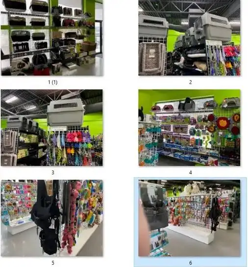 ANIMALERIE AEL (ANIMAUX EN LIGNE) - Photo 8