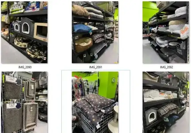 ANIMALERIE AEL (ANIMAUX EN LIGNE) - Photo 10