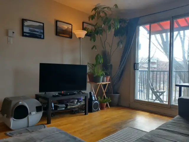 Charmant 3 ½ à louer près du métro Préfontaine – 1 250 $/mois