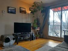 Charmant 3 ½ à louer près du métro Préfontaine – 1 250 $/mois