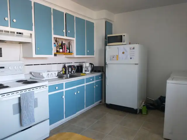 Charmant 3 ½ à louer près du métro Préfontaine – 1 250 $/mois - Photo 4