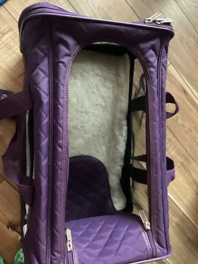 Dog Accessories - Photo 3