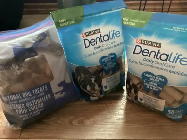 Dog Accessories - Photo 5