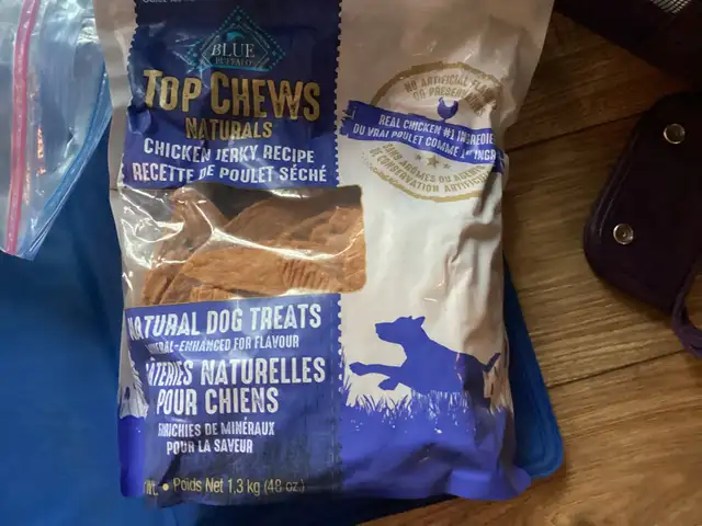 Dog Accessories - Photo 7