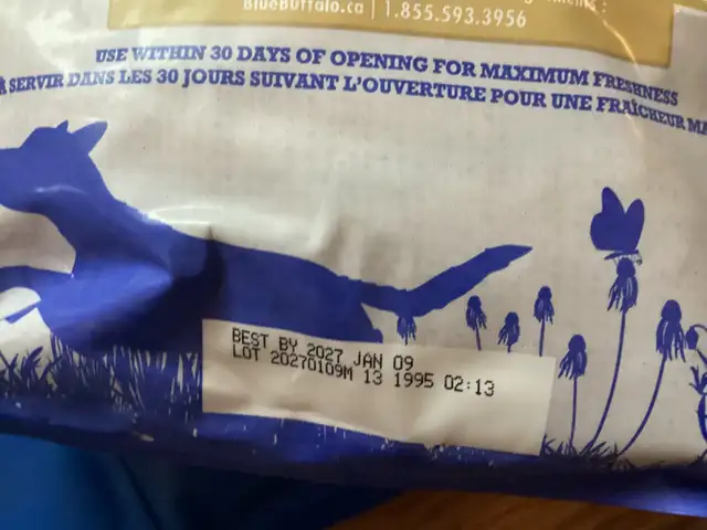 Dog Accessories - Photo 8