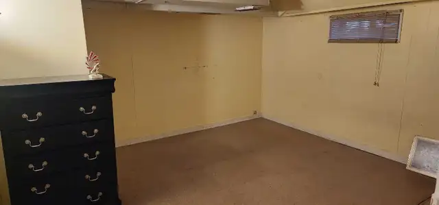 Basement Apartment, Separate Entrance Great Amenities - Photo 5