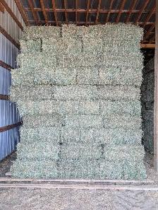 1st cut small sq. hay - Photo 2
