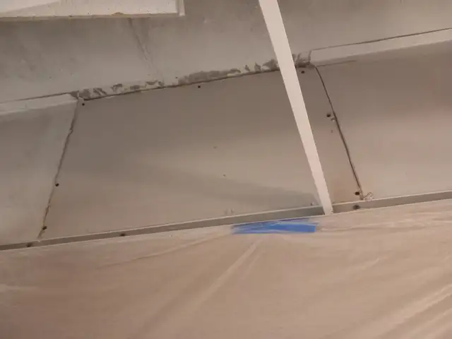 Plaster, painting or drywall