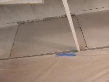 Plaster, painting or drywall