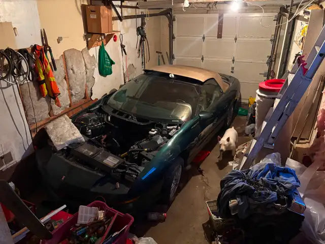 Z28 Convertible 1995