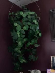 Hanging Artificial Plant