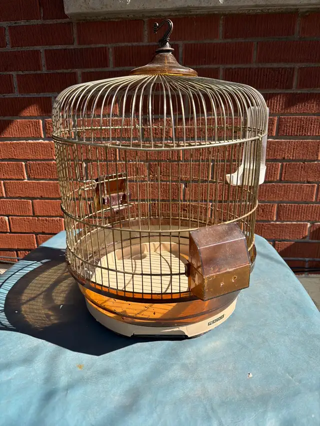 Free Bird Cage