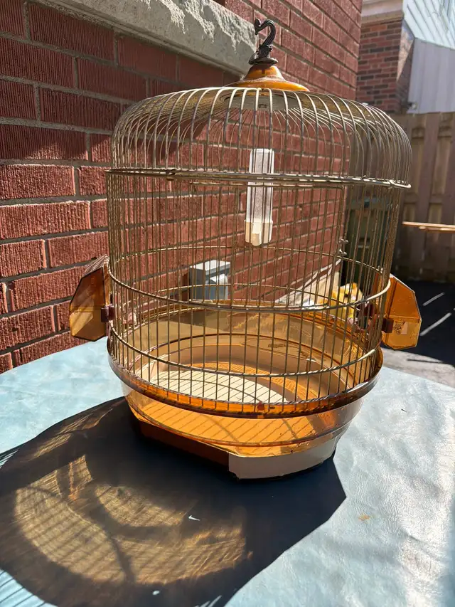 Free Bird Cage - Photo 2