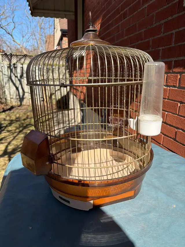 Free Bird Cage - Photo 3