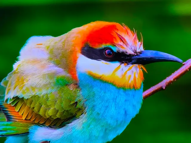 Samsung 85 inches 4K smart tv 2025 new