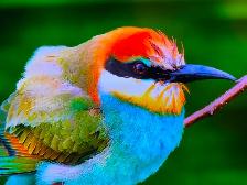 Samsung 85 inches 4K smart tv 2025 new