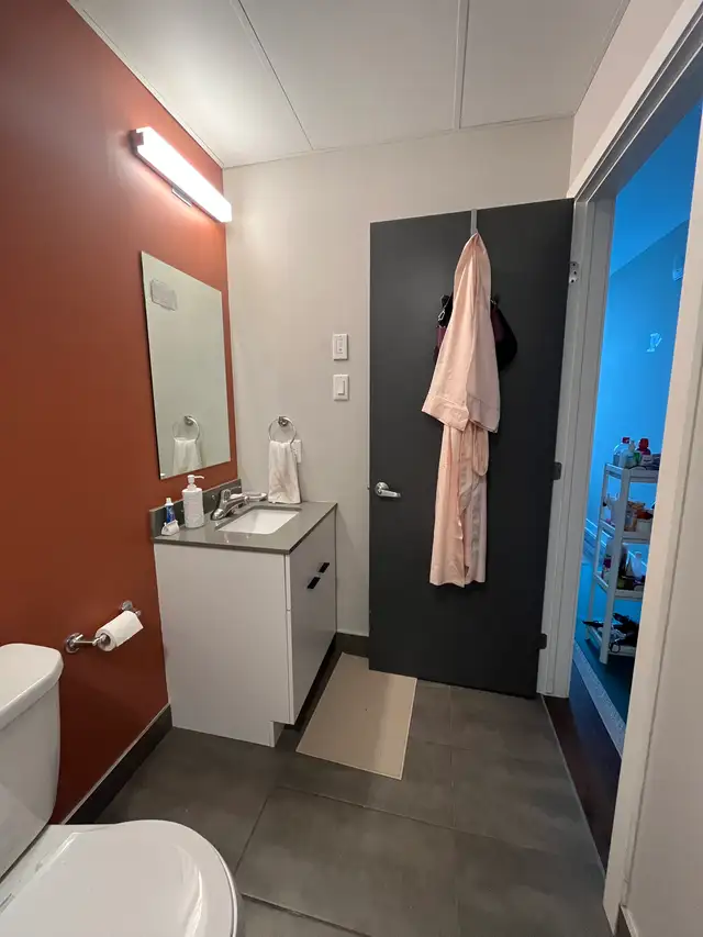 Theo Student Summer Sublet - U of O May -Aug 2026 $999 OBO - Photo 4