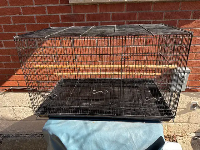 Free VEVOR 30 inch Bird Cage Bird Cage, toys, and accessories