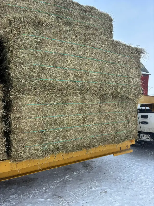First cut Hay