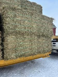 First cut Hay