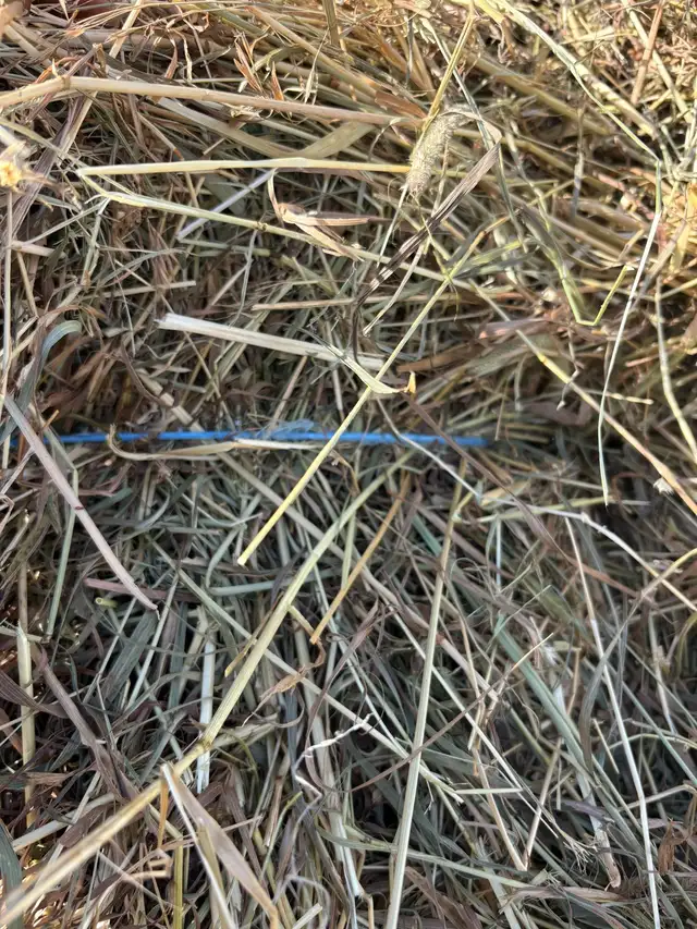First cut Hay - Photo 5