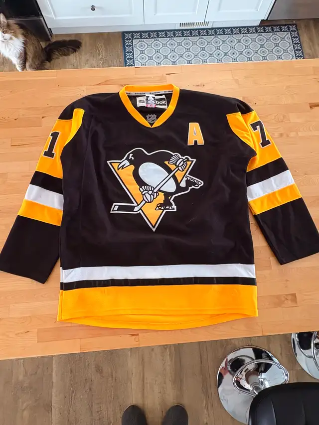 Penguins hockey jersey Evgeni Malkin