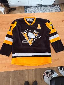 Penguins hockey jersey Evgeni Malkin